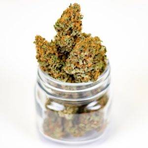 Minnesota Legalized Marijuana